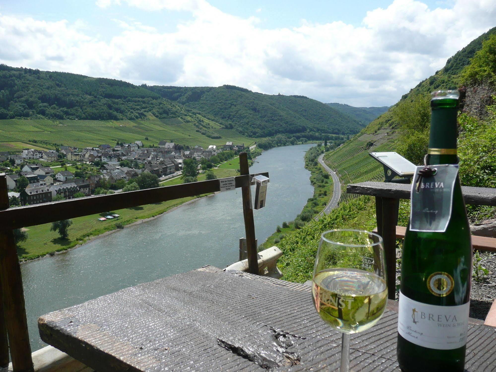 Hotel Zur Winzergenossenschaft Ернст Екстериор снимка